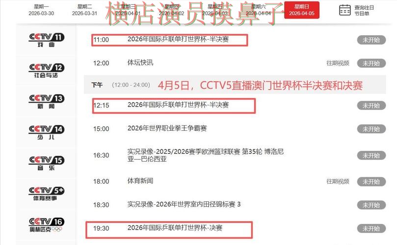 世界杯投注平台合集深度评测合集：覆盖访问方式+直播与入口方式 - 世界杯直播